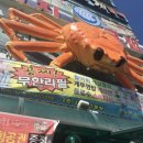 로커스텔 이미지