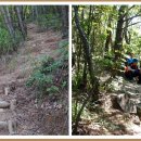 통수골농장 이미지