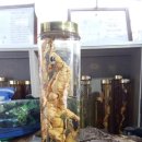 용천농장 이미지