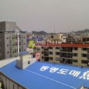 해안로 259번길 이미지