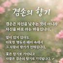 빛나는오늘 Daum카페