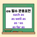 Healthy Cat 네이버블로그