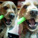 성대시장 이미지