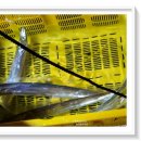 인어좌대 | 구매항 좌대 추천 다양한 어종과 온수 나오는 인어공주좌대