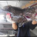 서해대교바다낚시터 이미지