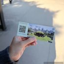 산책 | 서울 강남 단풍명소 선릉과 정릉 산책후기