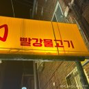 빨강물고기 | [성남/모란] 드디어 찾은 대방어회 맛집, 갓성비 대방어 ‘빨강물고기’ 포장 후기