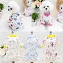 해피 데일리 이미지