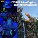 2901 | [미국_올랜도] 디즈니월드 Animal Kingdom : 아바타 어트랙션 꿀팁 및 후기