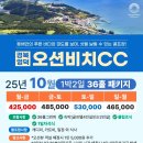 오션비치 이미지