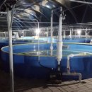 태수아쿠아 이미지