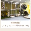 해피스마일키즈 이미지