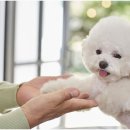 신천동물병원 이미지