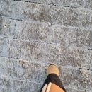 맑은물빛공원1 | 아이슬란드 [골든서클] 싱벨리어국립공원, 게이시르간헐천, 굴포스폭포 (필수정보)