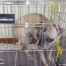 전주송북초등학교 이미지