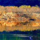 우포늪 생태 사진전 이미지