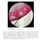 부름켜 이미지