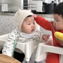 겨미 이미지