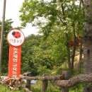 향숙농장 이미지