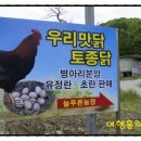 늘푸른농장2 이미지