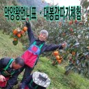 법인악양왕언니농원