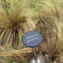 그릿비 | [울산 울주] 그릿비 솔직후기