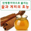 의사들도 알려주지 않는 꿀과 계피의 효능(설원님카톡) 이미지