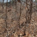 낭성산성琅城山城 이미지