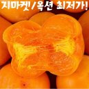 풀빛농원 이미지