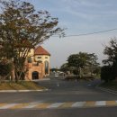 형제들감자탕 이미지