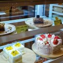 경기도 수원시 권선구 효원로 102 (세류동) 이미지