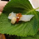 비금도횟집 이미지