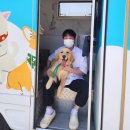 털빨충전중 | 부산 대형견 목욕 [ 멍빨DAY ] 🐾 “털이 산더미처럼...배우다” 🧴 리트리버 털 빠짐 심할 때? 부산...
