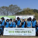 나무테크 이미지