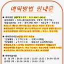 도리스파티세리 이미지