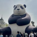 (유)지담 | 2024.04.26 오랜만에 고등학교 친구들과 에버랜드🎢🎡