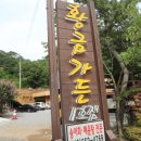 황금가든 이미지