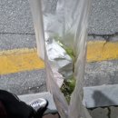 한우갈비의 습격 이미지