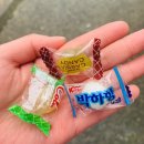 웰빙돈가 이미지