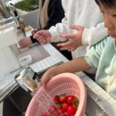 알로큰농장 | 농장알로록춘천딸기(스마트팜 딸기 농장, 춘천 가볼 만한 곳)