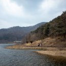 쑥부쟁이(용산저수지)둘레길 이미지