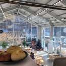 521 | 안산 화정동 대형 베이커리카페 추천｜통창 자연뷰 맛집 521베이커리카페 후기