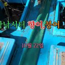 남창낚시터 이미지