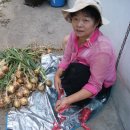 다마내기 이미지