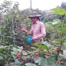 서당골농장 이미지