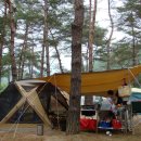 중앙솔밭캠핑장 이미지