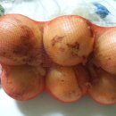 두별마트 이미지