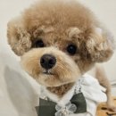 멍그라밍 이미지