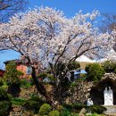 공세리농장 이미지