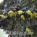 한라전설(주) 이미지